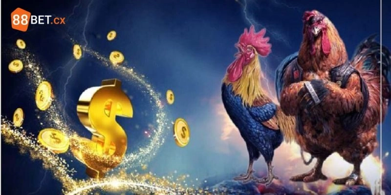 Cá Cược Đá Gà 88BET - Sân Chơi Siêu Hấp Dẫn Trên Thị Trường Cá Cược Đá Gà 88BET – Sân Chơi Siêu Hấp Dẫn Trên Thị Trường