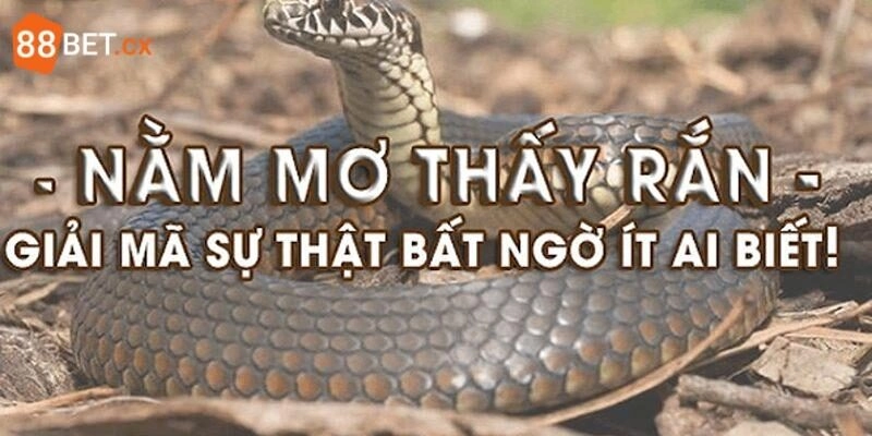 Mơ Thấy Rắn Hên Hay Xui? Gợi Ý Con Lô Đẹp Chốt Là Ăn Mơ Thấy Rắn Hên Hay Xui? Gợi Ý Con Lô Đẹp Chốt Là Ăn