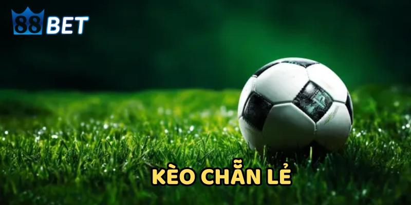 Cách Đánh Kèo Chẵn Lẻ Có Lãi - Bật Mí Chiến Thuật Cao Thủ 4 chiến thuật cao thủ đánh kèo