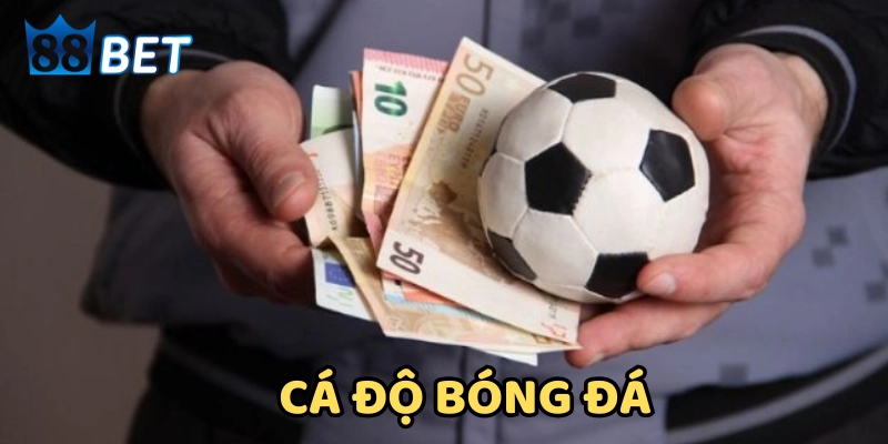 Chiến Thuật Cá Độ Bóng Đá: Đọc Kèo Và Tối Ưu Hóa Lợi Nhuận Cách tăng lợi nhuận